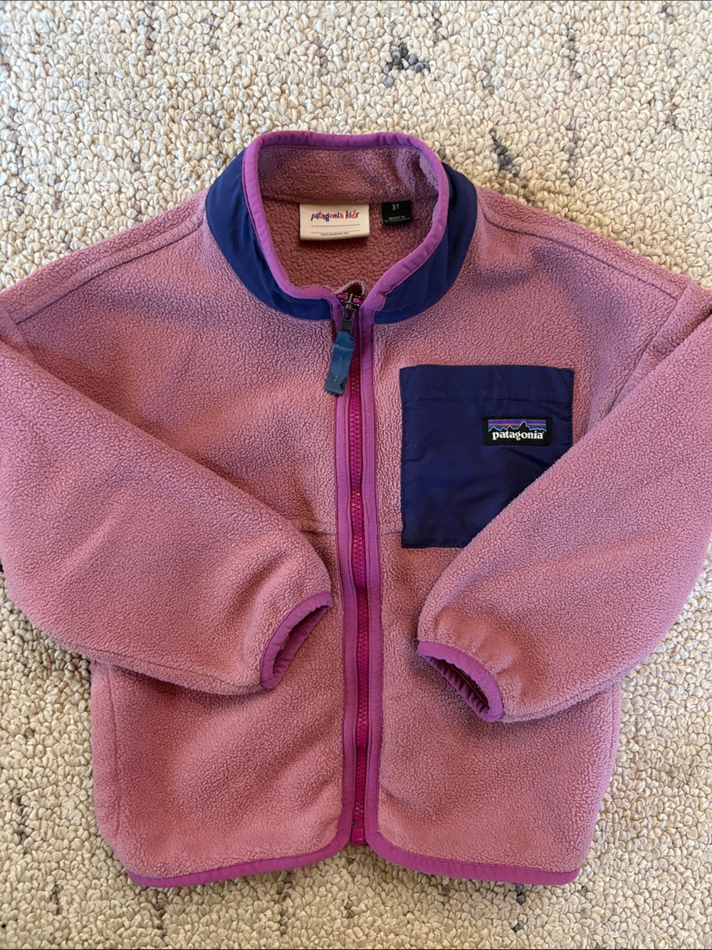 Patagonia Kids Fleece Jacket (3T) EUC